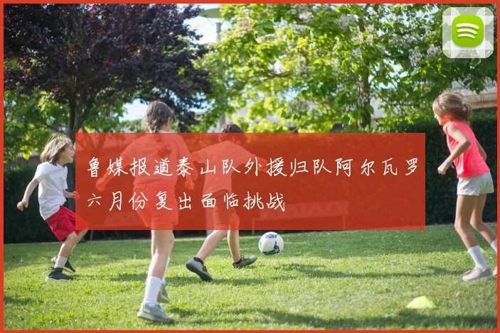 鲁媒报道泰山队外援归队阿尔瓦罗六月份复出面临挑战